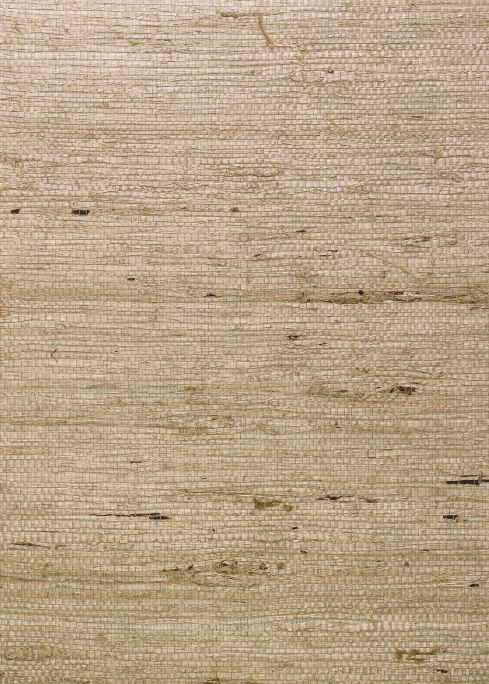 ECASBA - Ashanti Wallpaper - Bark - Andrew Martin