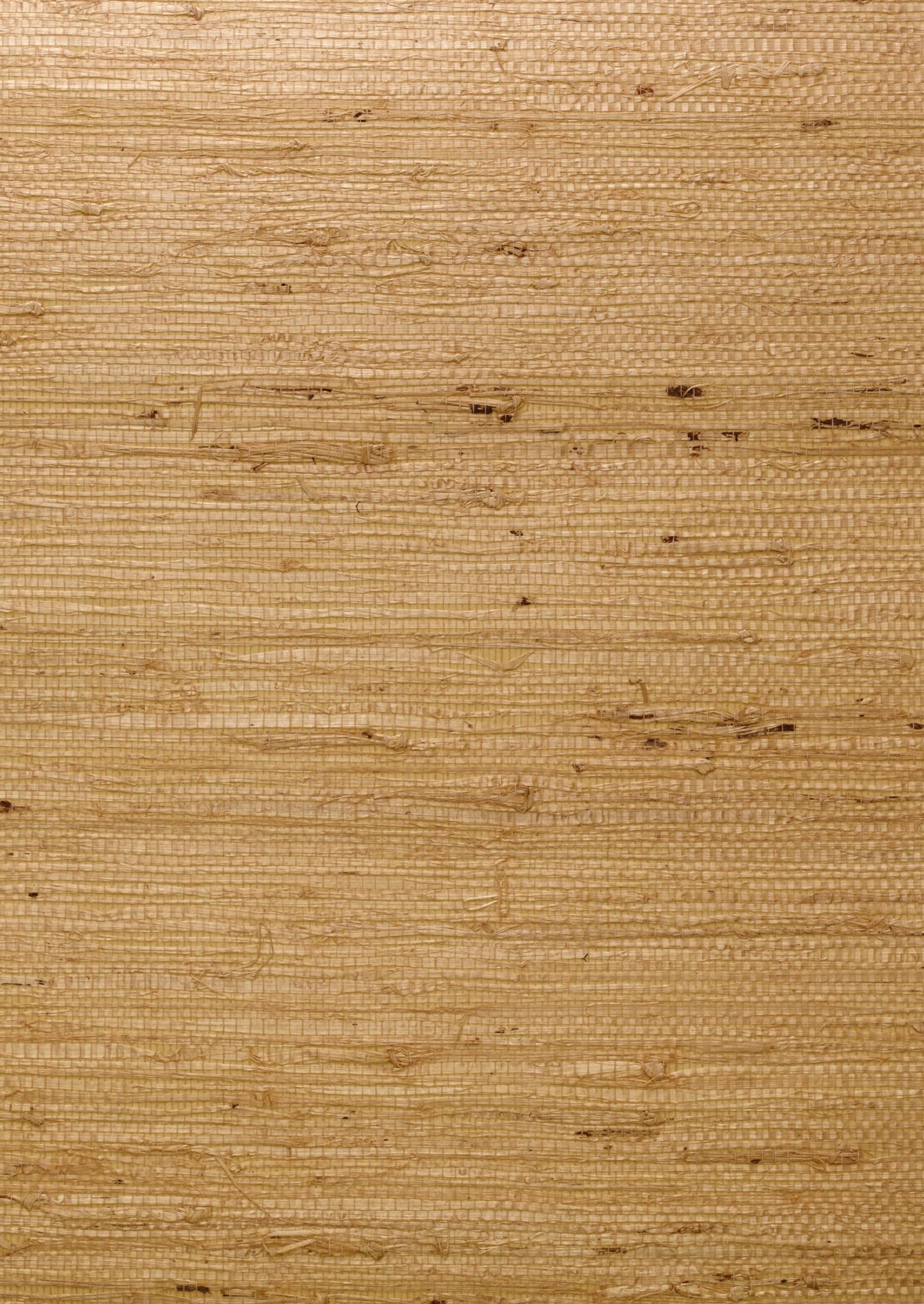 ECASST - Ashanti Wallpaper - Straw - Andrew Martin