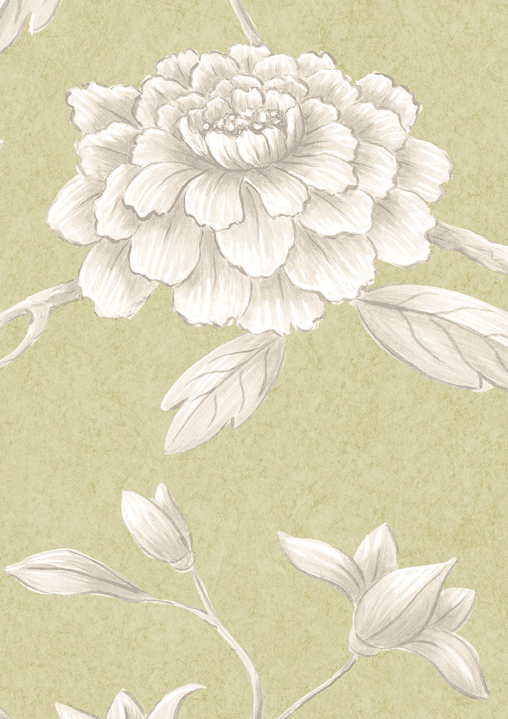 Jasper Peony Wallpaper - Beech - Lewis & Wood