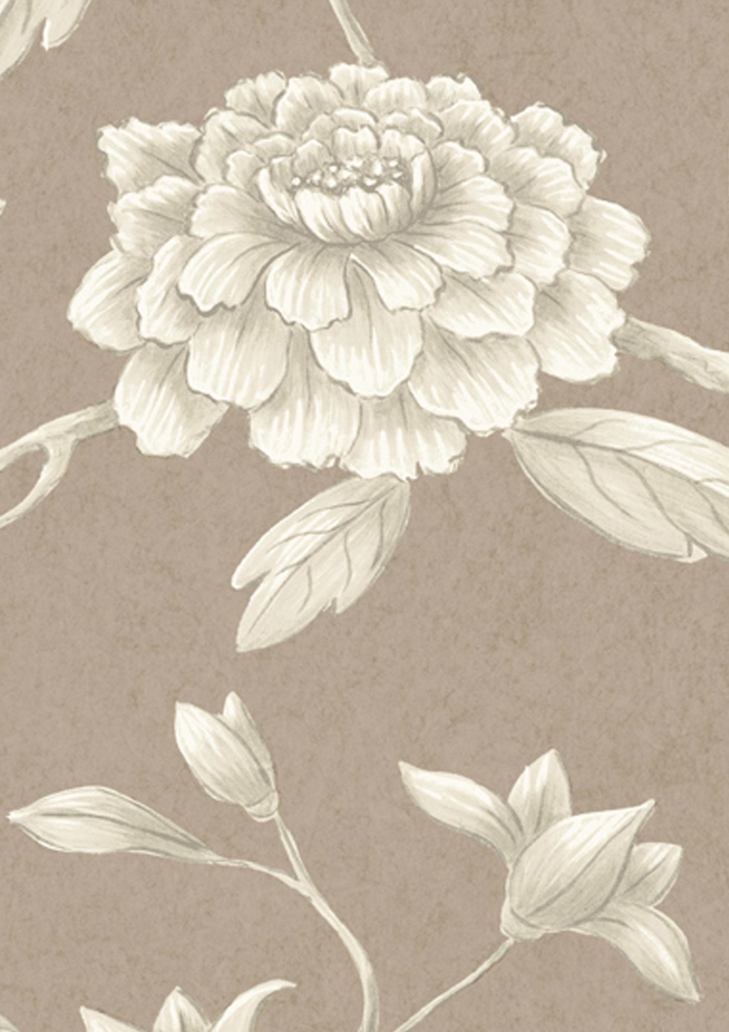 Jasper Peony Wallpaper - Cocoa Rose - Lewis & Wood