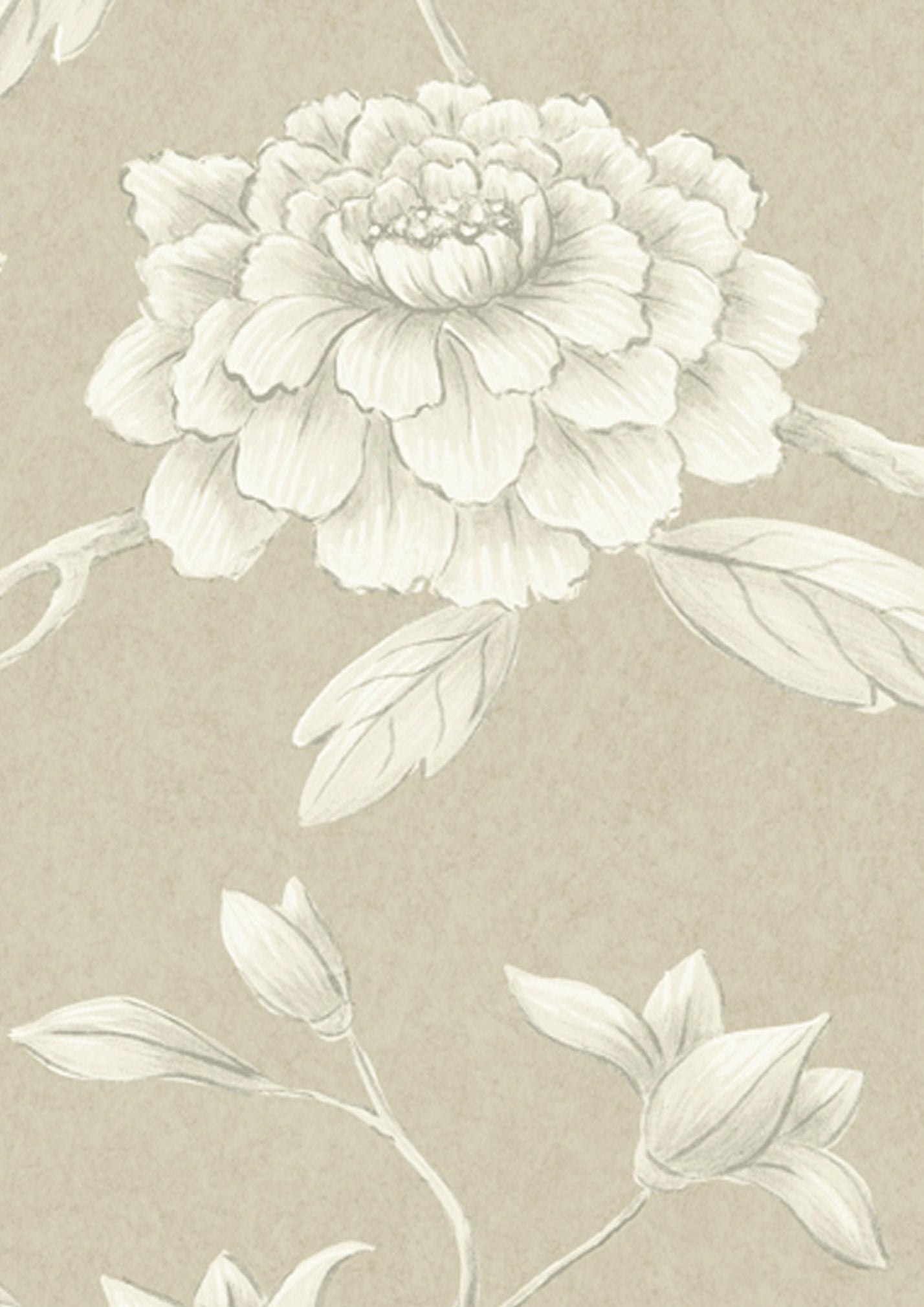 Jasper Peony Wallpaper - Parchment - Lewis & Wood