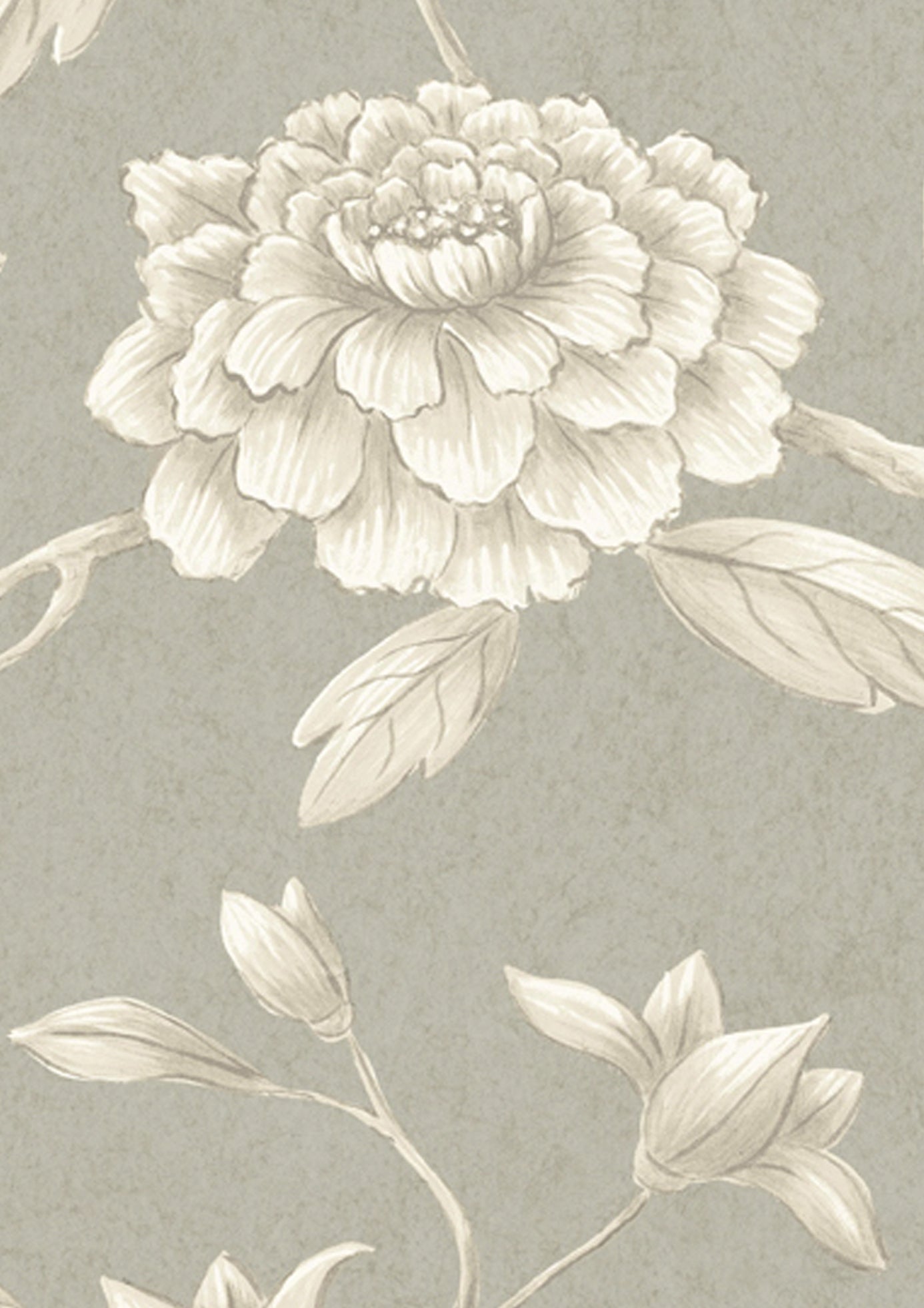 Jasper Peony Wallpaper - Pumice - Lewis & Wood