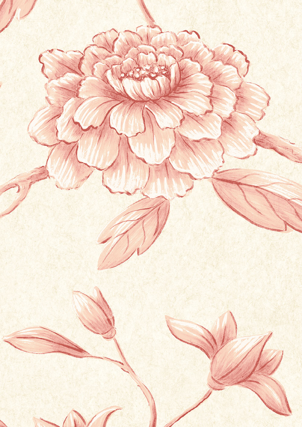 Jasper Peony Wallpaper - Rose - Lewis & Wood