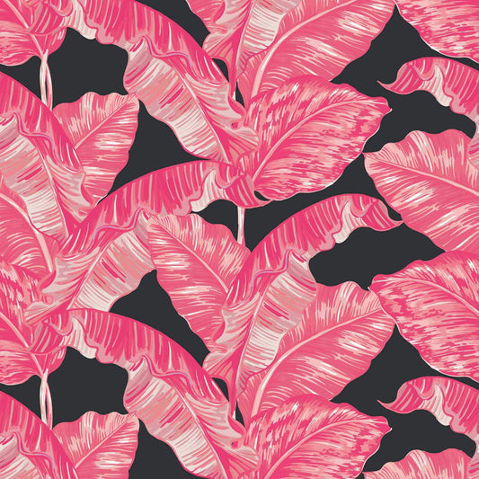 LH900006 - Under The Banana Tree Wallpaper - Hot Pink & Charcoal - Lust Home