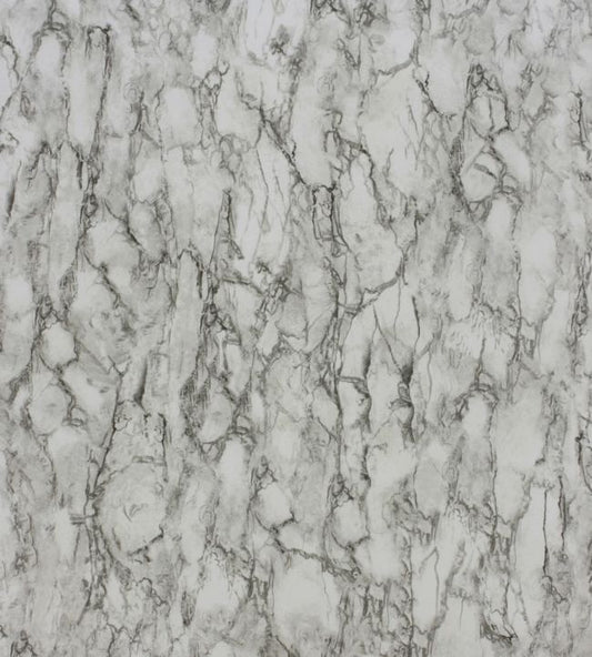 NCW4204-01 - Kershaw Plain Wallpaper - Black/Ivory - Nina Campbell