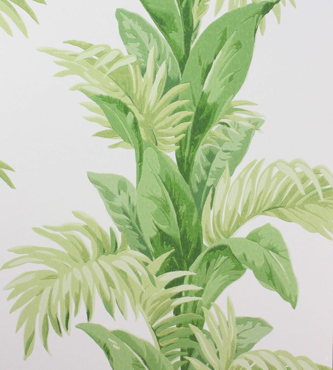 NCW4274-01 - Palmetto Wallpaper - Green - Nina Campbell