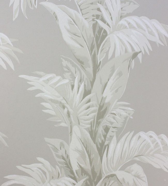 NCW4274-03 - Palmetto Wallpaper - Grey - Nina Campbell