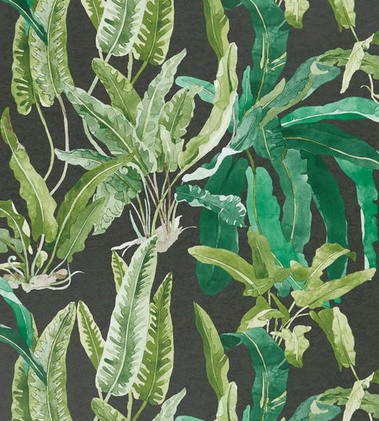 NCW4393-01 - Benmore Wallpaper - Emerald/ Green/ Ebony - Nina Campbell