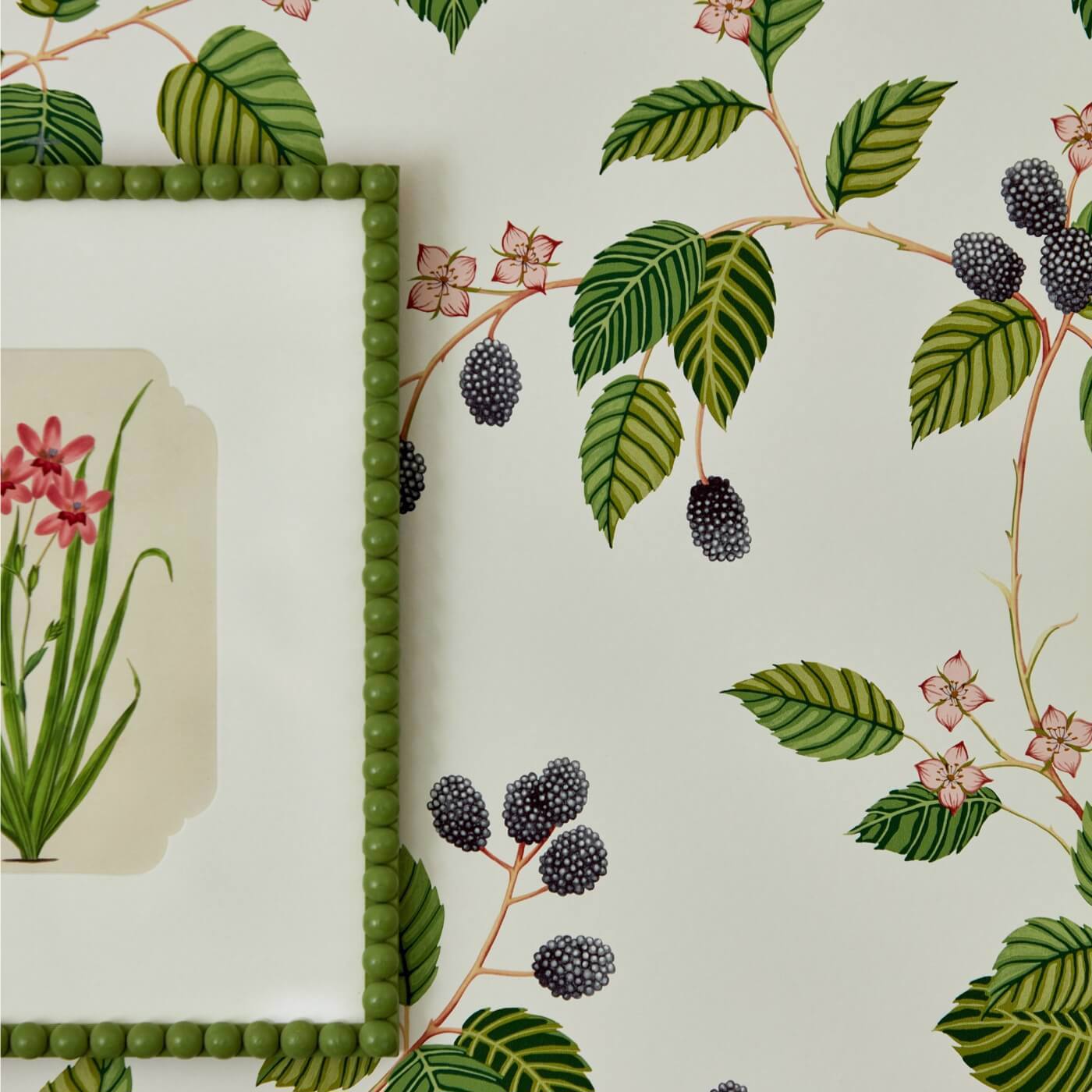 Rubus Wallpaper - Blackberry - DABW217227 - Sanderson