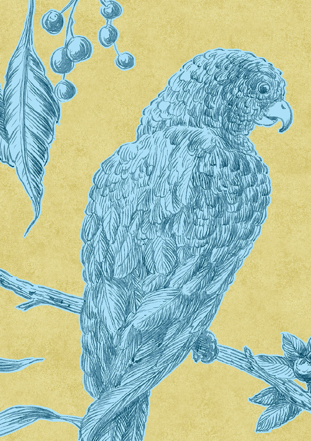 Squawk Wallpaper - Curacao - Lewis & Wood