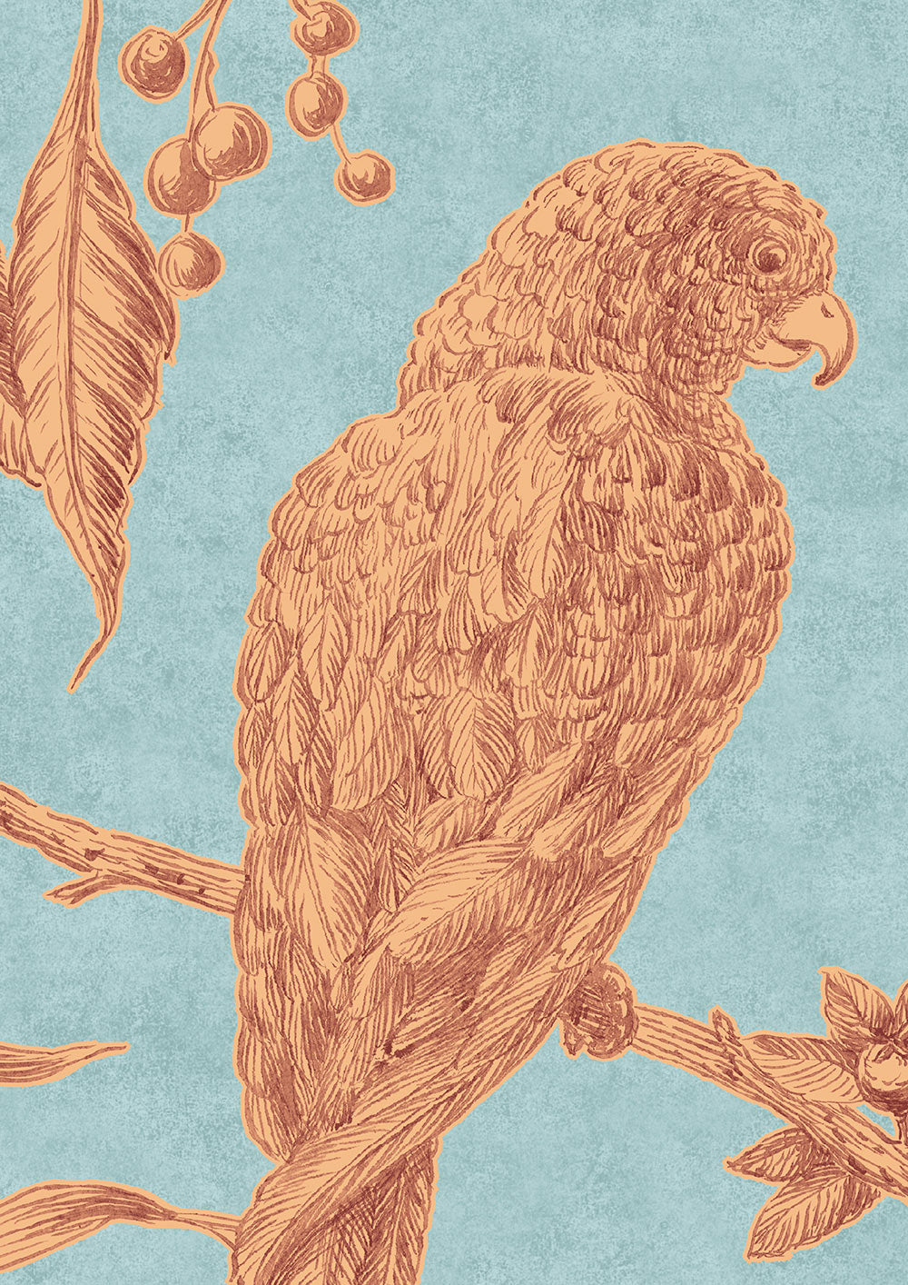 Squawk Wallpaper - Jaffa - Lewis & Wood