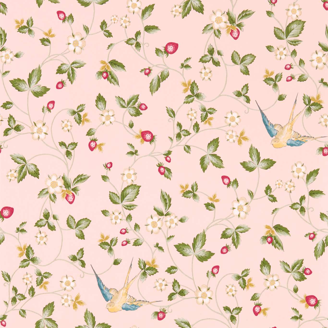 W0135/01 - Wild Strawberry Wallpaper - Blush - Clarke & Clarke