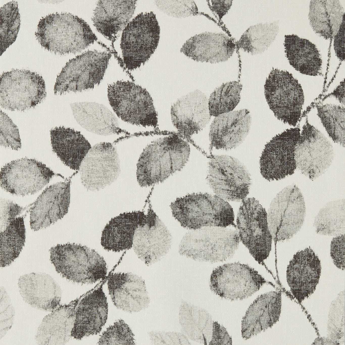 W0159/01  -Northia Wallpaper - Charcoal - Clarke & Clarke