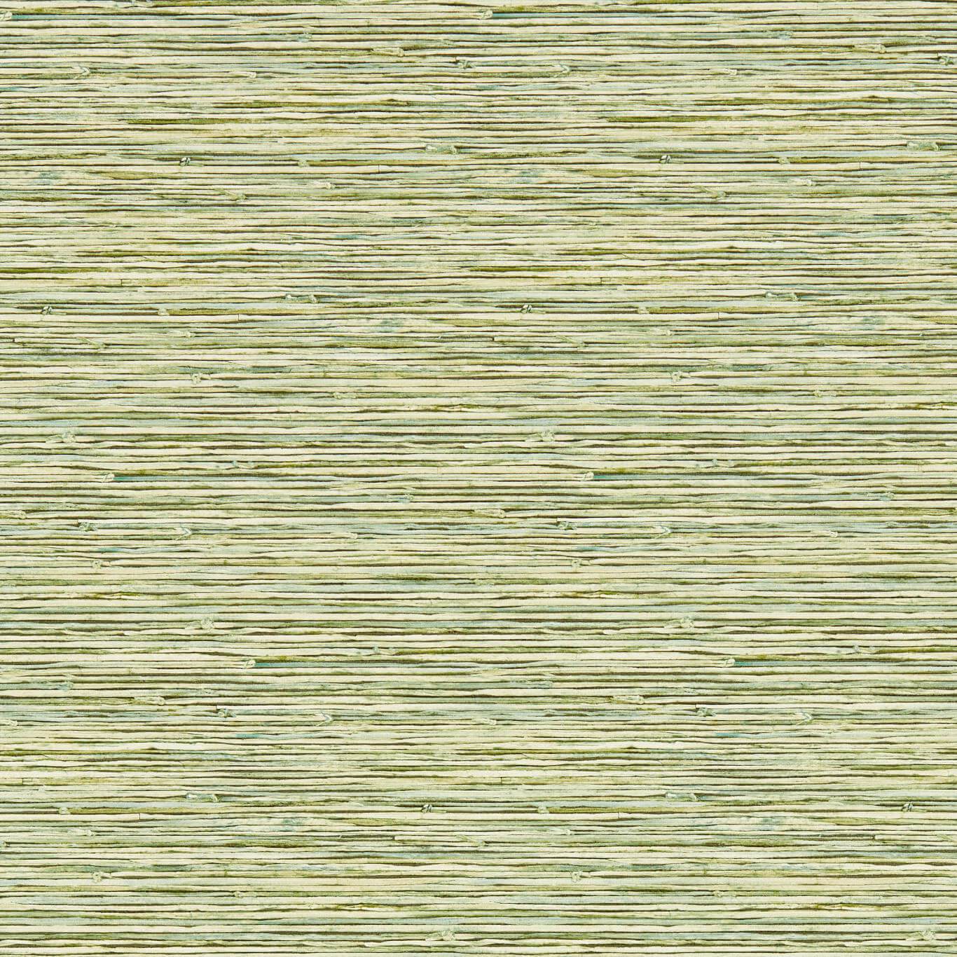 W0192/04 - Xan Wallpaper - Palm - Clarke & Clarke