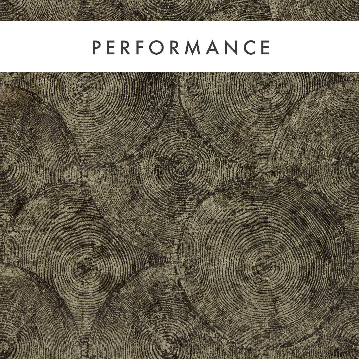 W0209/01 - Silvan Wallpaper - Charcoal/Gilver - Clarke & Clarke