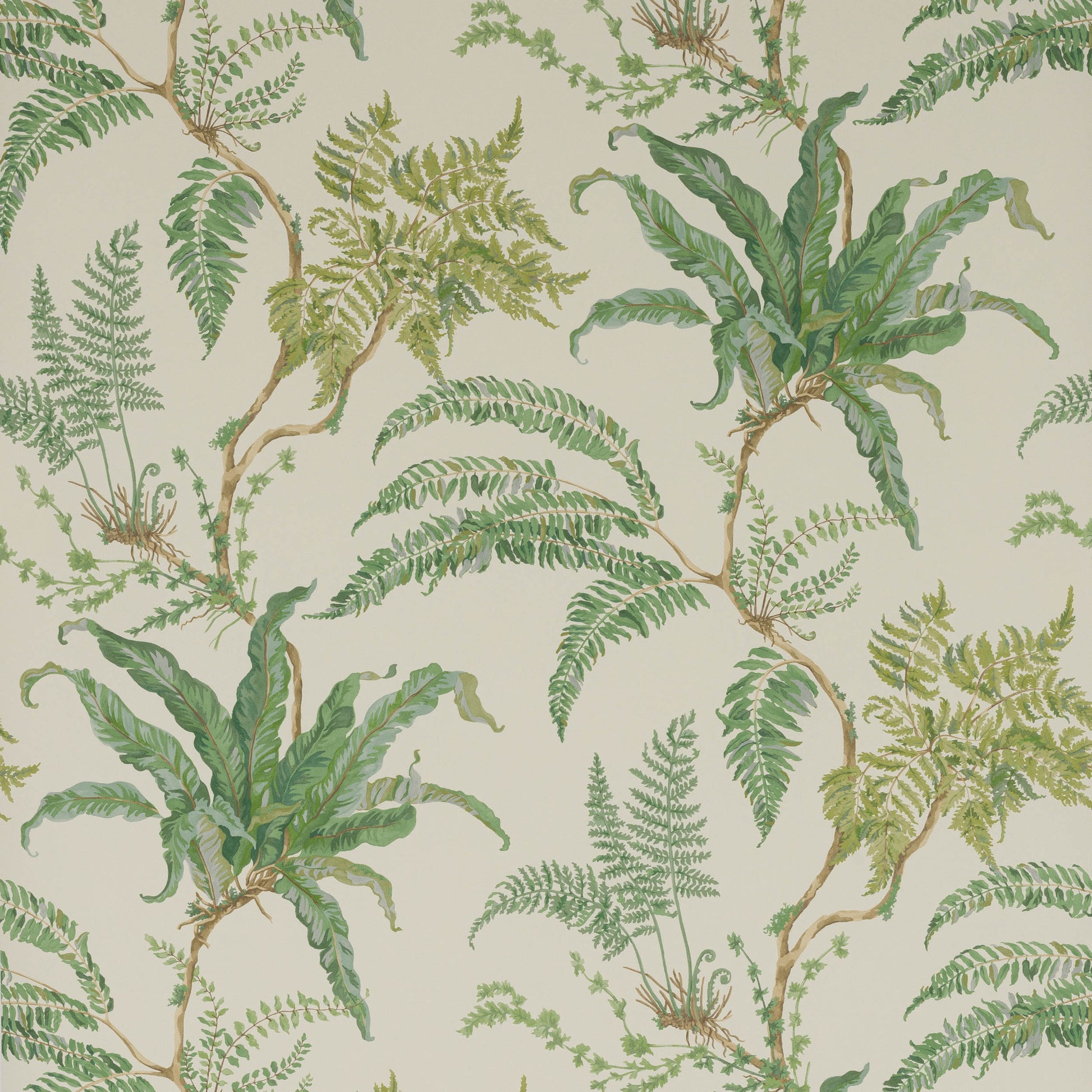 W7015-01 - Woodfern Wallpaper - Green - Colefax & Fowler