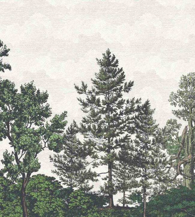 WM-388-02RM - Heaton Park Wallpaper -  Mural - Evergreen - Woodchip & Magnolia
