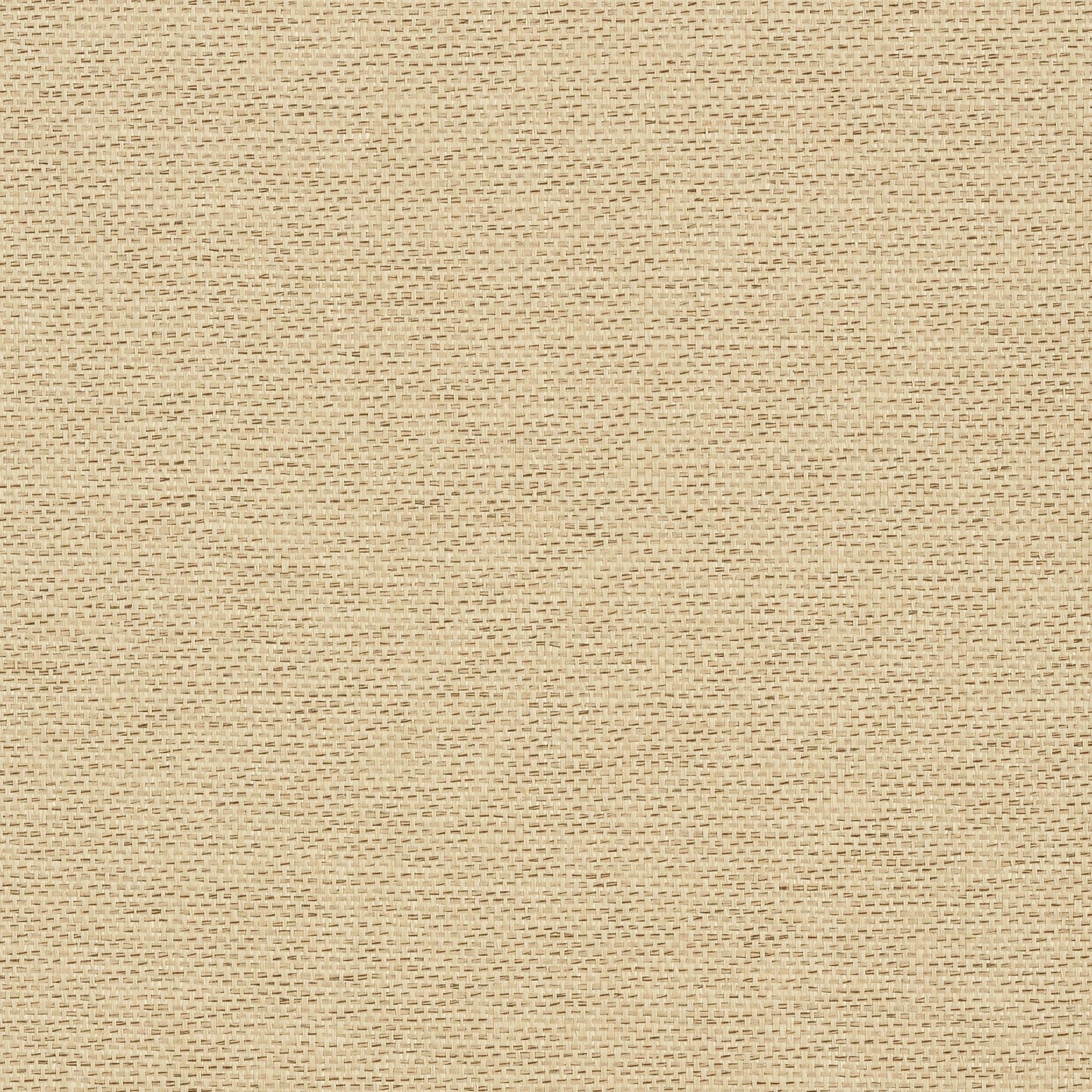 Adriatic Wallpaper - Beige & Black - Thibaut - T41129 - Premier Wallcovering