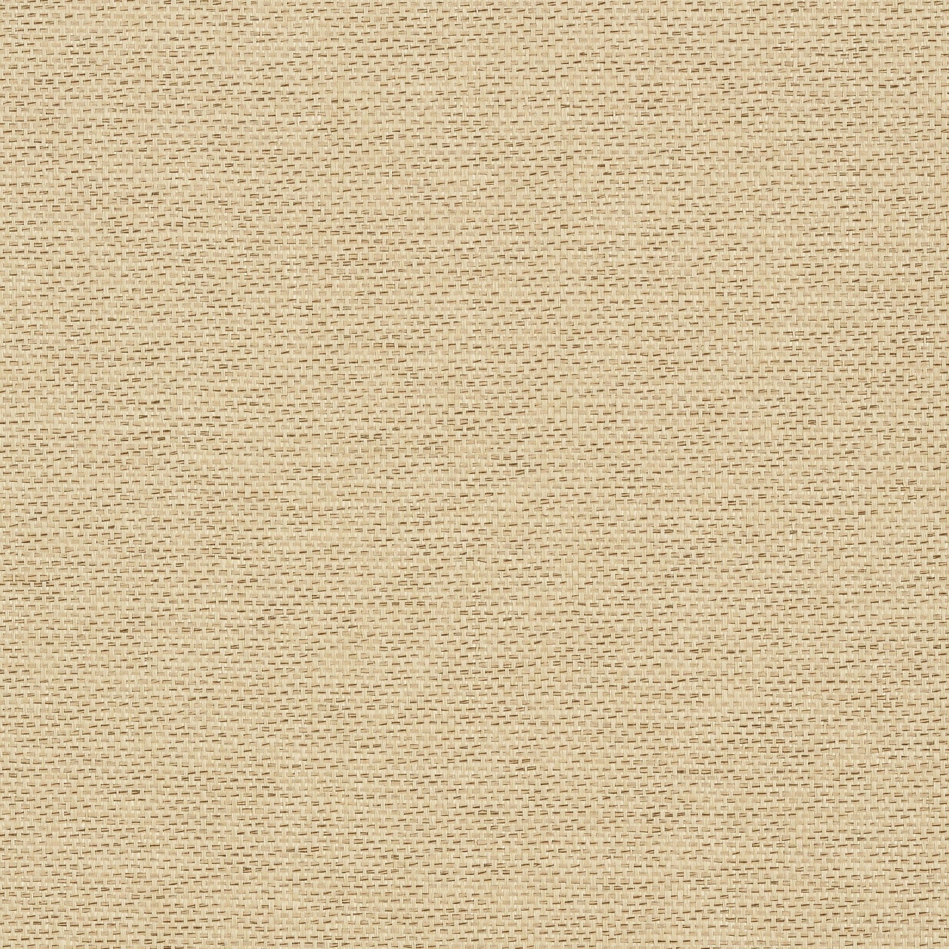 Adriatic Wallpaper - Beige & Black - Thibaut - T41129 - Premier Wallcovering