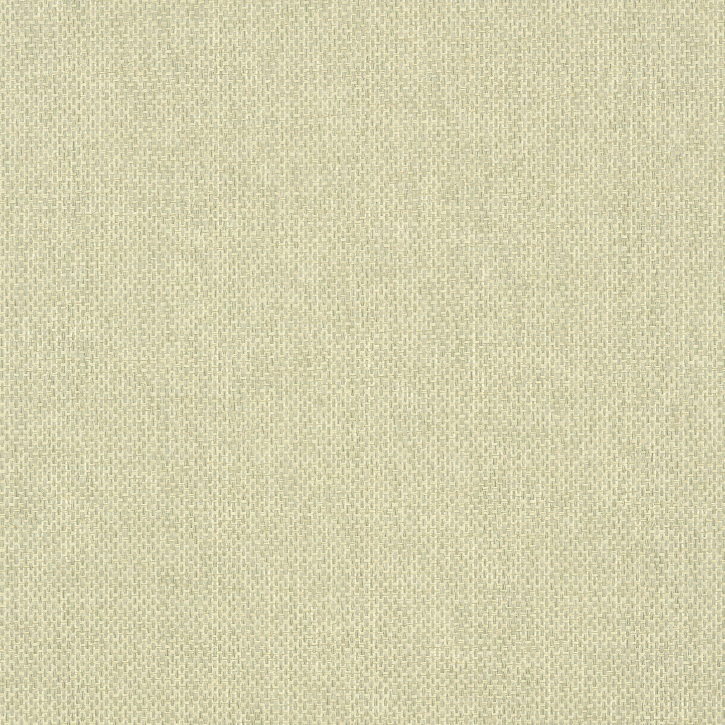 Adriatic Wallpaper - Sage - Thibaut - T41134 - Premier Wallcovering