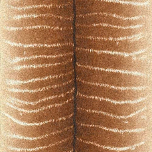 African Queen II Wallpaper - Brown - Rasch - 473520 - Premier Wallcovering