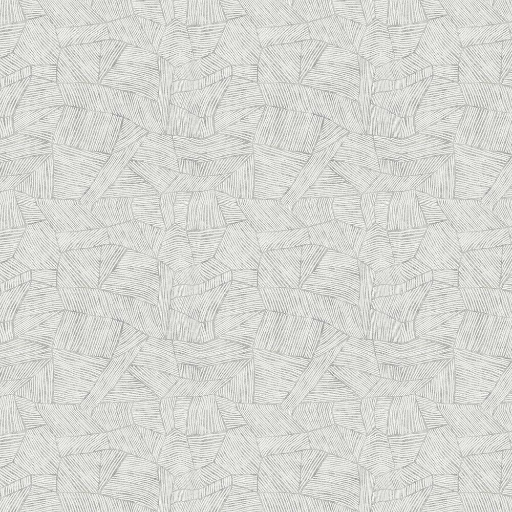 Aldabra Wallpaper - Grey - A Street Prints - FD26402 - Premier Wallcovering