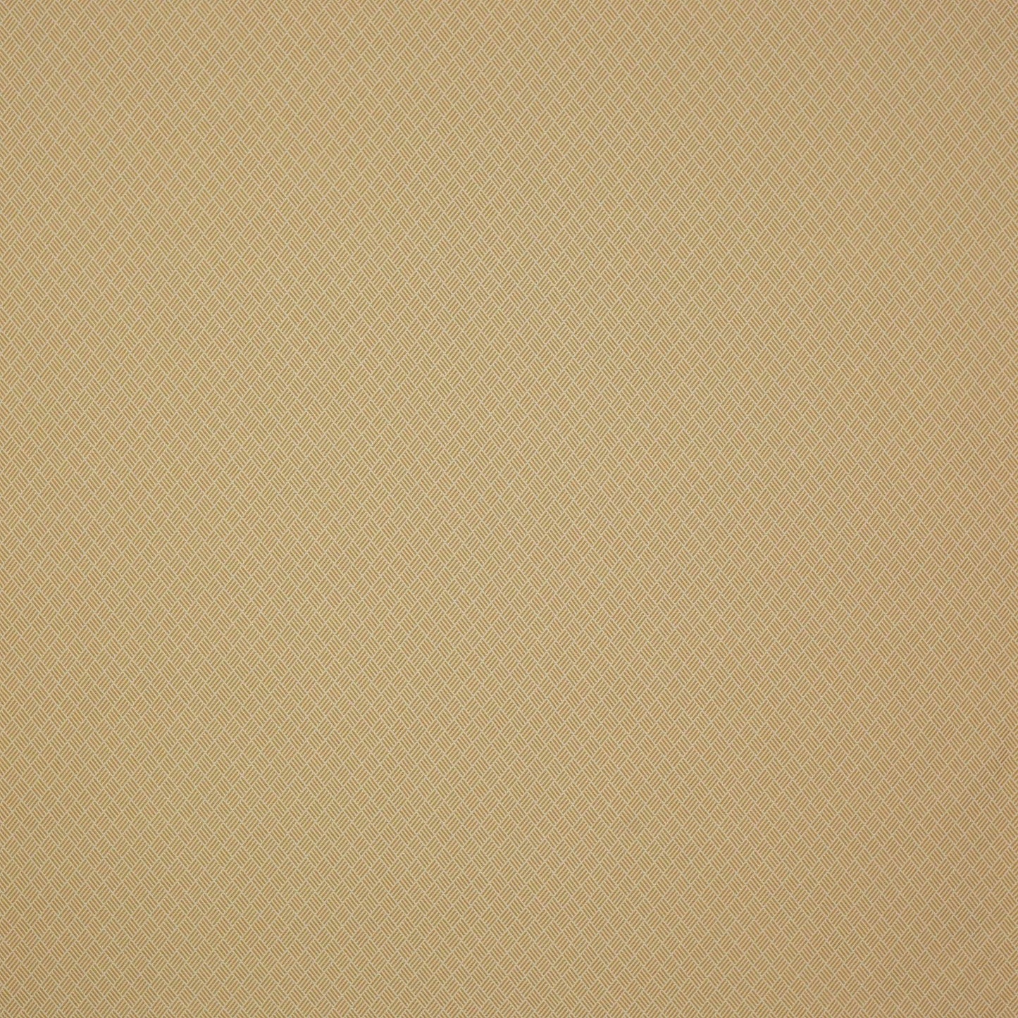 Amalfi Fabric - Camel - Manuel Canovas - 04891/01 - Premier Wallcovering