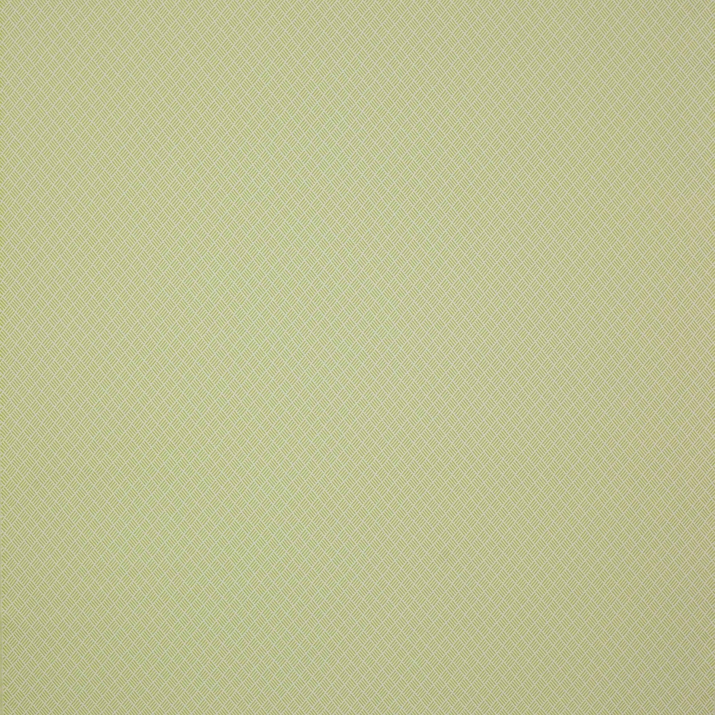 Amalfi Fabric - Anis - Manuel Canovas - 04891/05 - Premier Wallcovering