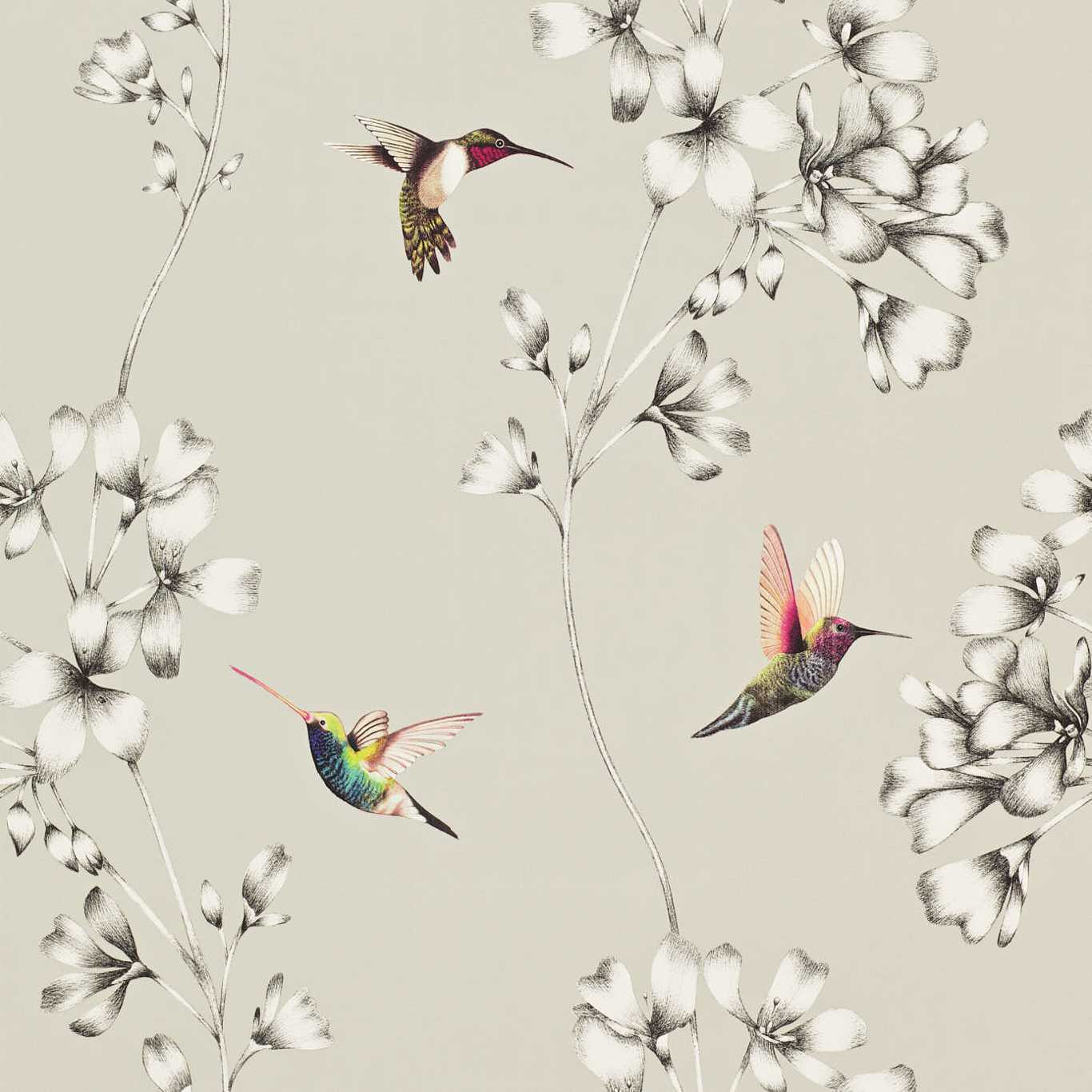 Amazilia Wallpaper - Silver - HAMA111062 - Harlequin - Premier Wallcovering