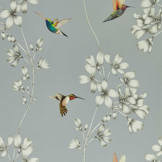 Amazilia Wallpaper - French Grey/Stone - HTEW112605 - Harlequin - Premier Wallcovering