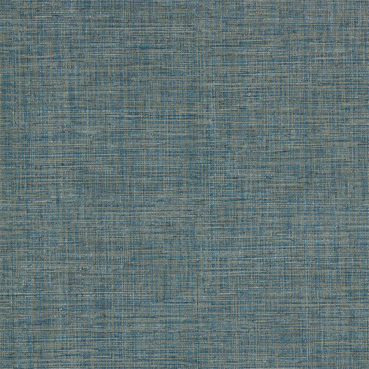 Anthology Seri Raphia Wallpaper - Saphire - EANW112594 - Harlequin - Premier Wallcovering