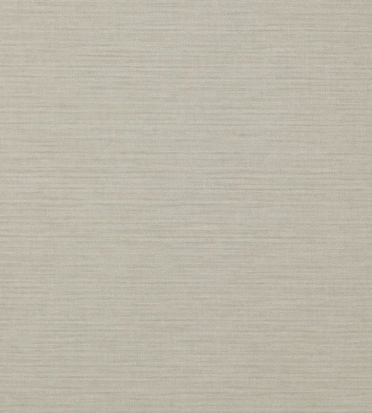 Appledore Wallpaper - Silver - Colefax & Fowler - 07167/07 - Premier Wallcovering