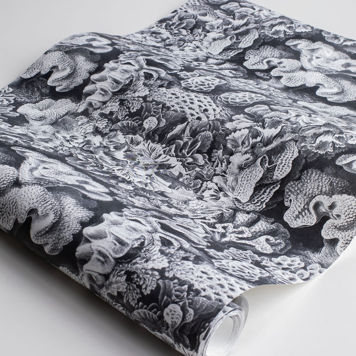 Aquila Wallpaper - Cloud - Rebel Walls - R17481 - Premier Wallcovering