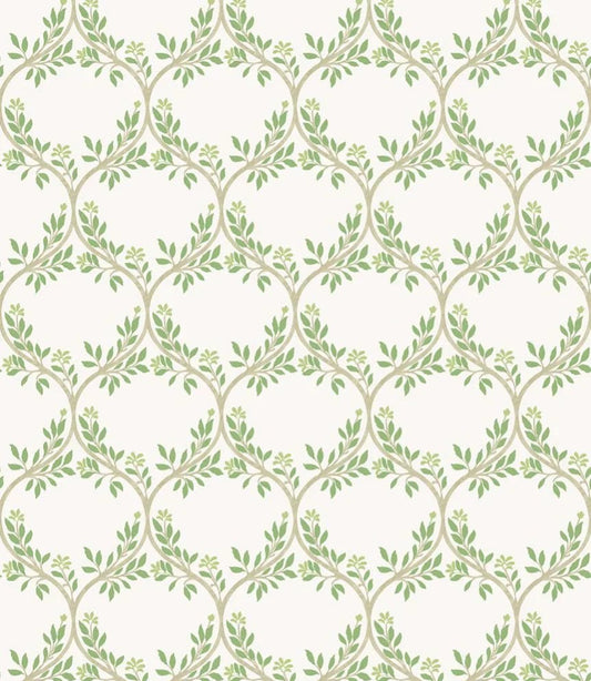 Arber Wallpaper - Green - Nina Campbell - NCW4495 - 01 - Premier Wallcovering