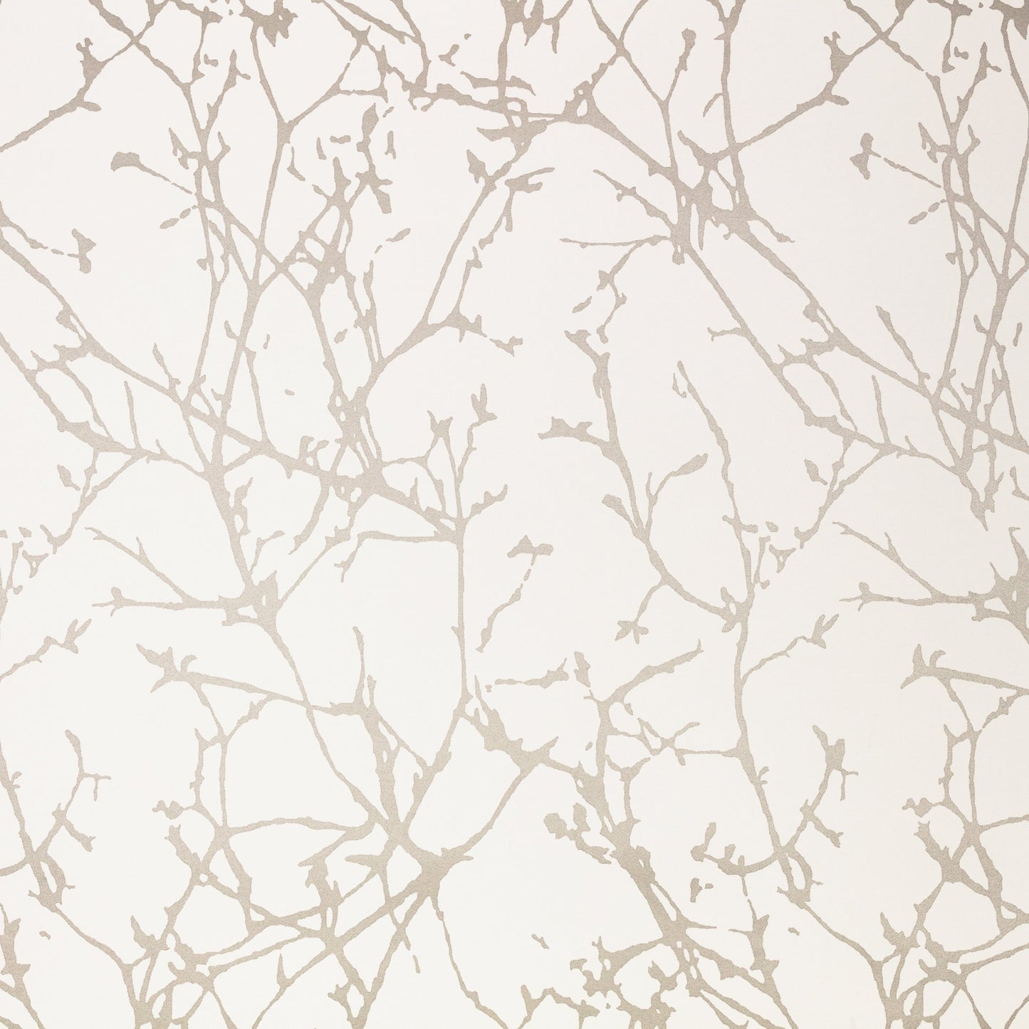 Arbor Wallpaper - Jasmine - Romo - Ottavia - W396/09 - Premier Wallcovering
