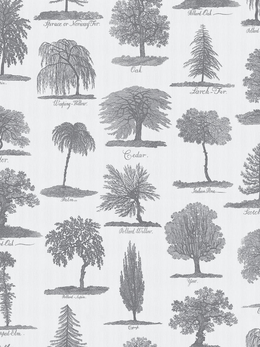 Arboreta Wallpaper - Charcoal - Divine Savages - DVS050-ARB-CHAR-WR - Premier Wallcovering