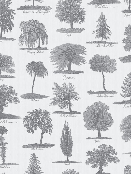 Arboreta Wallpaper - Charcoal - Divine Savages - DVS050-ARB-CHAR-WR - Premier Wallcovering