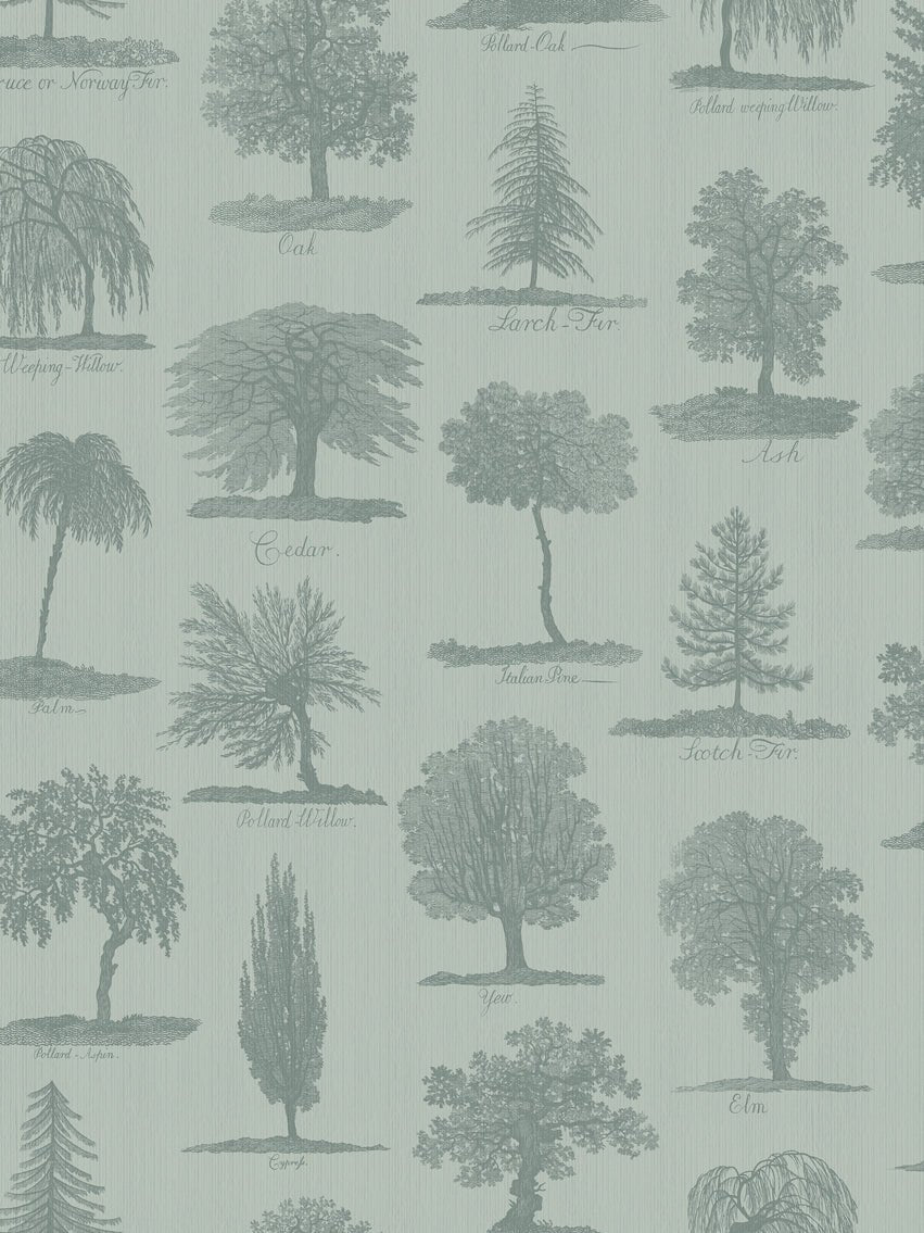 Arboreta Wallpaper - Sage - Divine Savages - DVS053-ARB-SAG-WR - Premier Wallcovering