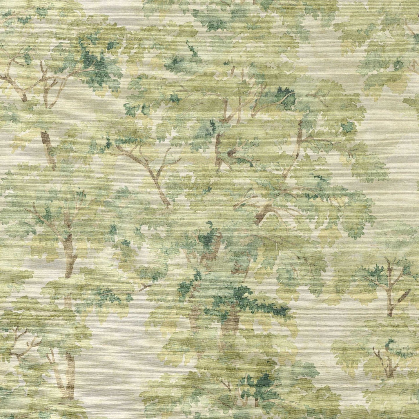Arbour Sisal Wallpaper - Olive Green - Colefax & Fowler - W7025-03 - Premier Wallcovering