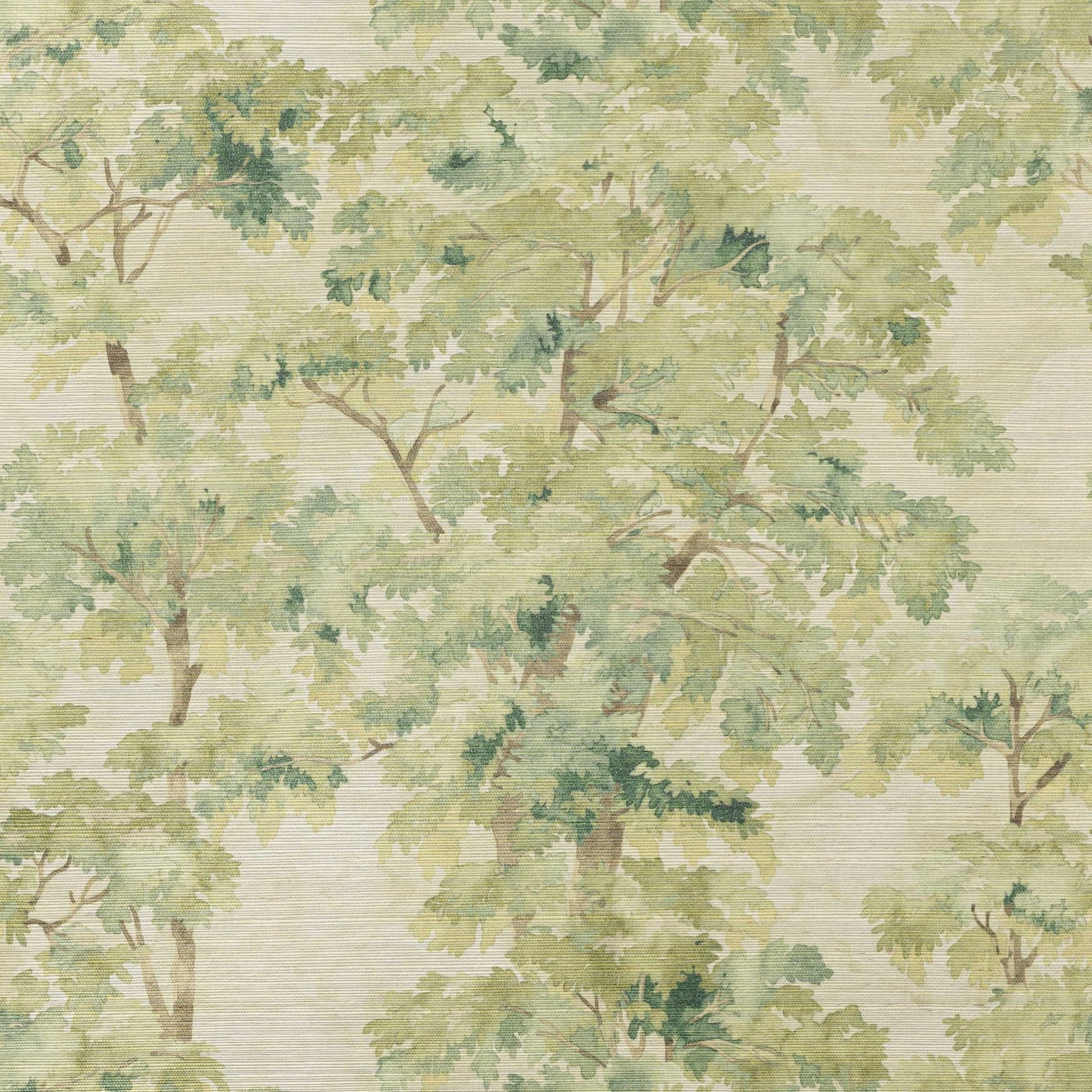 Arbour Sisal Wallpaper - Olive Green - Colefax & Fowler - W7025-03 - Premier Wallcovering
