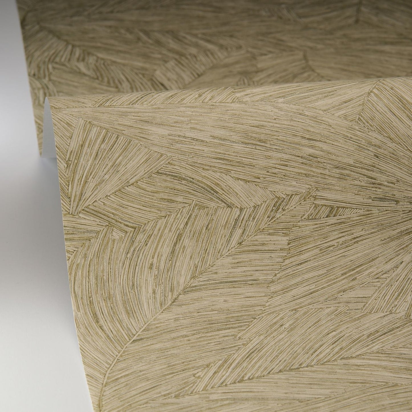 Archipel Wallpaper - Kaki - Caselio - 106517187 - Premier Wallcovering