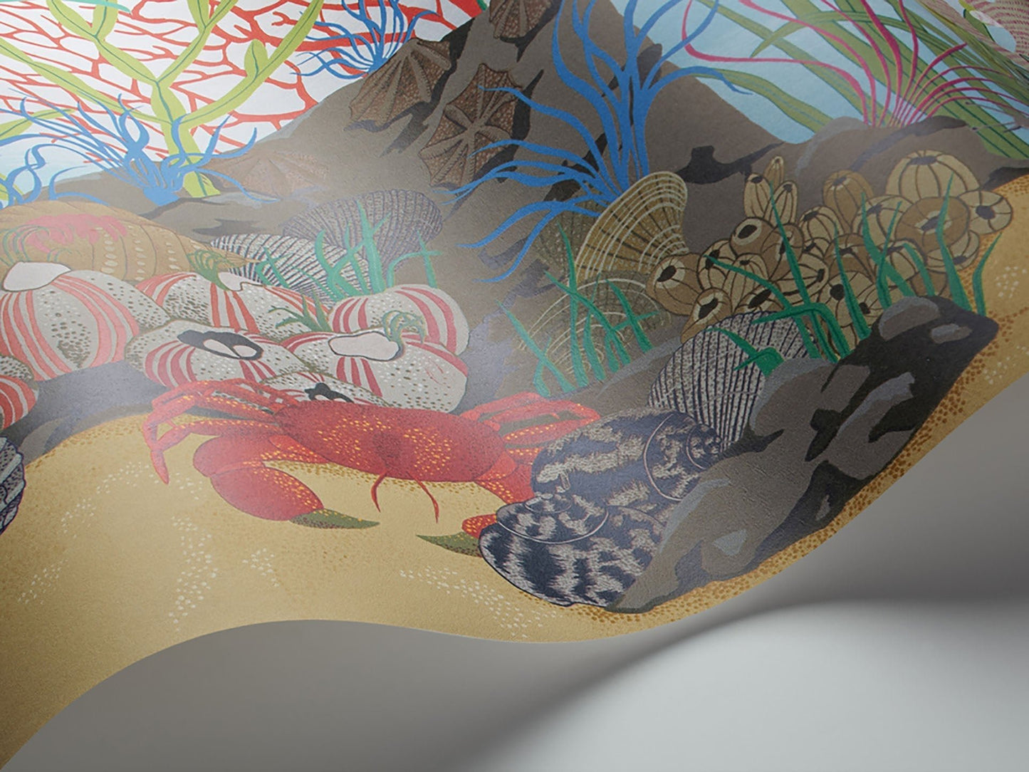 Archipelago Border Wallpaper - Archipelago Multi - 103/12054 - Cole & Son - Premier Wallcovering