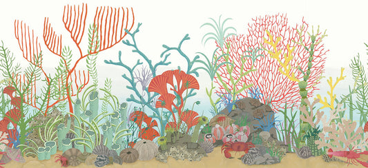 Archipelago Border Wallpaper - Archipelago Multi - 103/12054 - Cole & Son - Premier Wallcovering