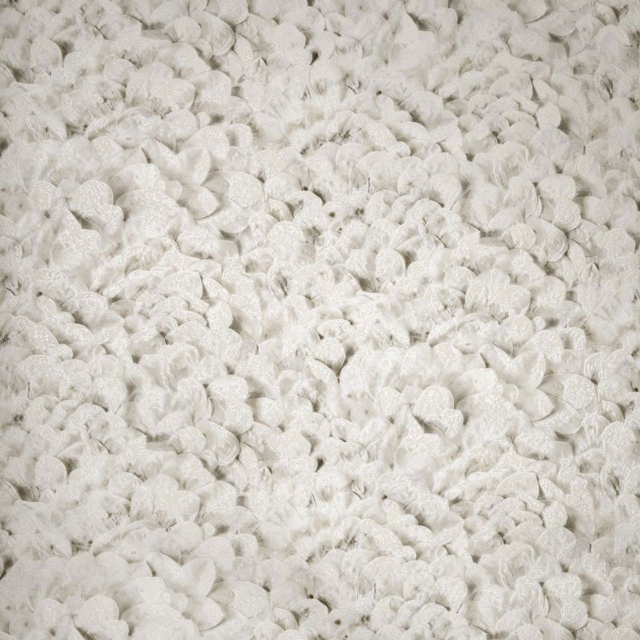 Arco Salt Wallpaper - Sesame - Hohenberger - 65310 - Premier Wallcovering