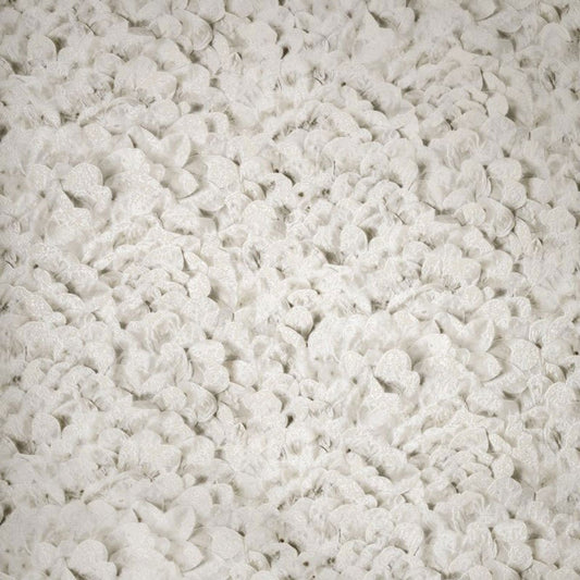 Arco Salt Wallpaper - Sesame - Hohenberger - 65310 - Premier Wallcovering