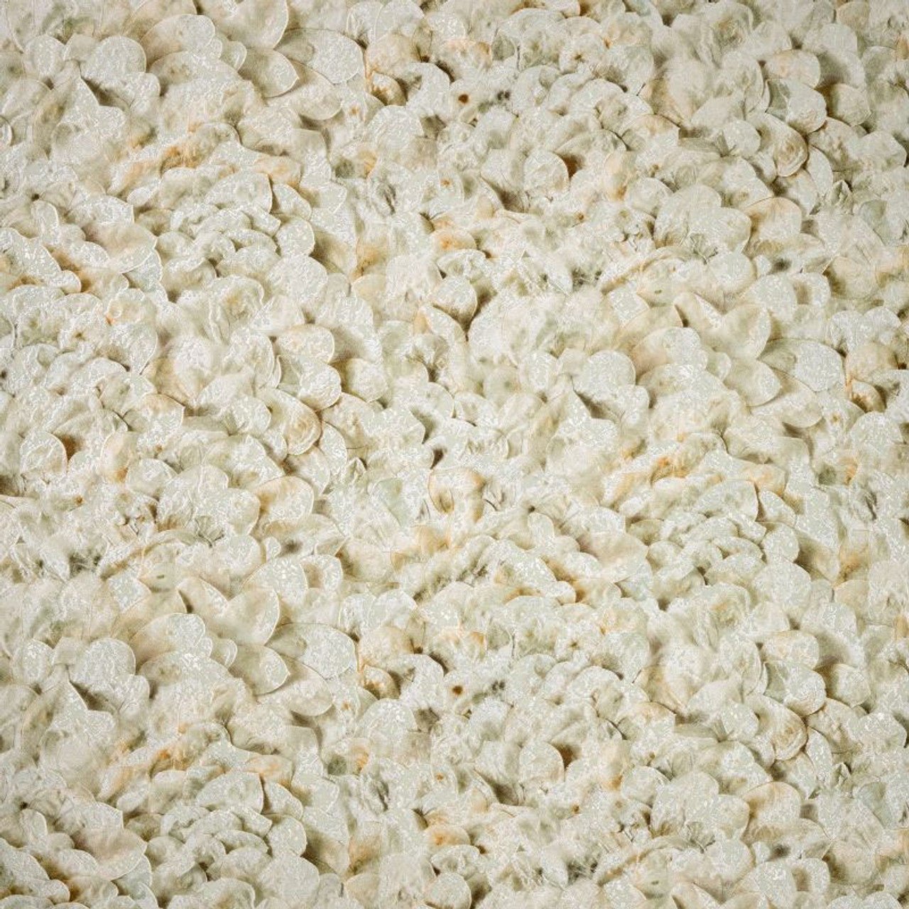 Arco Salt Wallpaper - Sage - Hohenberger - 65304 - Premier Wallcovering