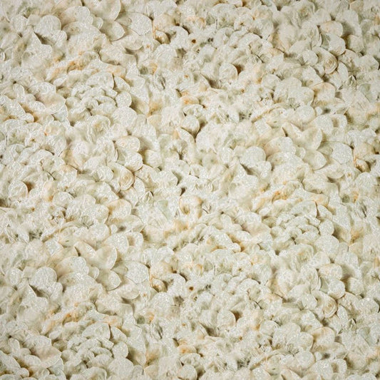 Arco Salt Wallpaper - Sage - Hohenberger - 65304 - Premier Wallcovering