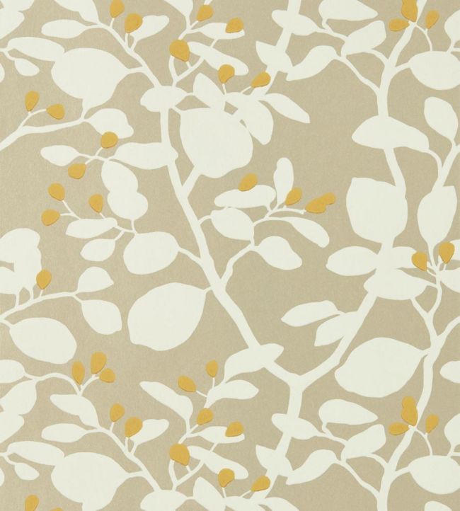 Ardisia Wallpaper - Soft Focus/Oyster/Gold - HTEW112773 - Harlequin - Premier Wallcovering