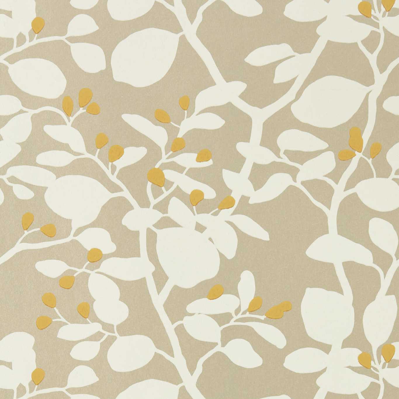Ardisia Wallpaper - Soft Focus/Oyster/Gold - HTEW112773 - Harlequin - Premier Wallcovering
