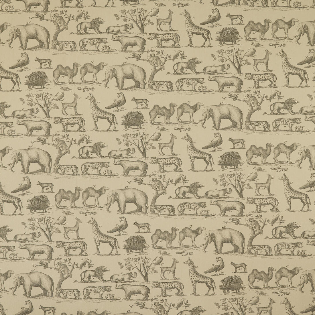 Ark Wallpaper - Parchment - Andrew Martin - MUSARPA - Premier Wallcovering